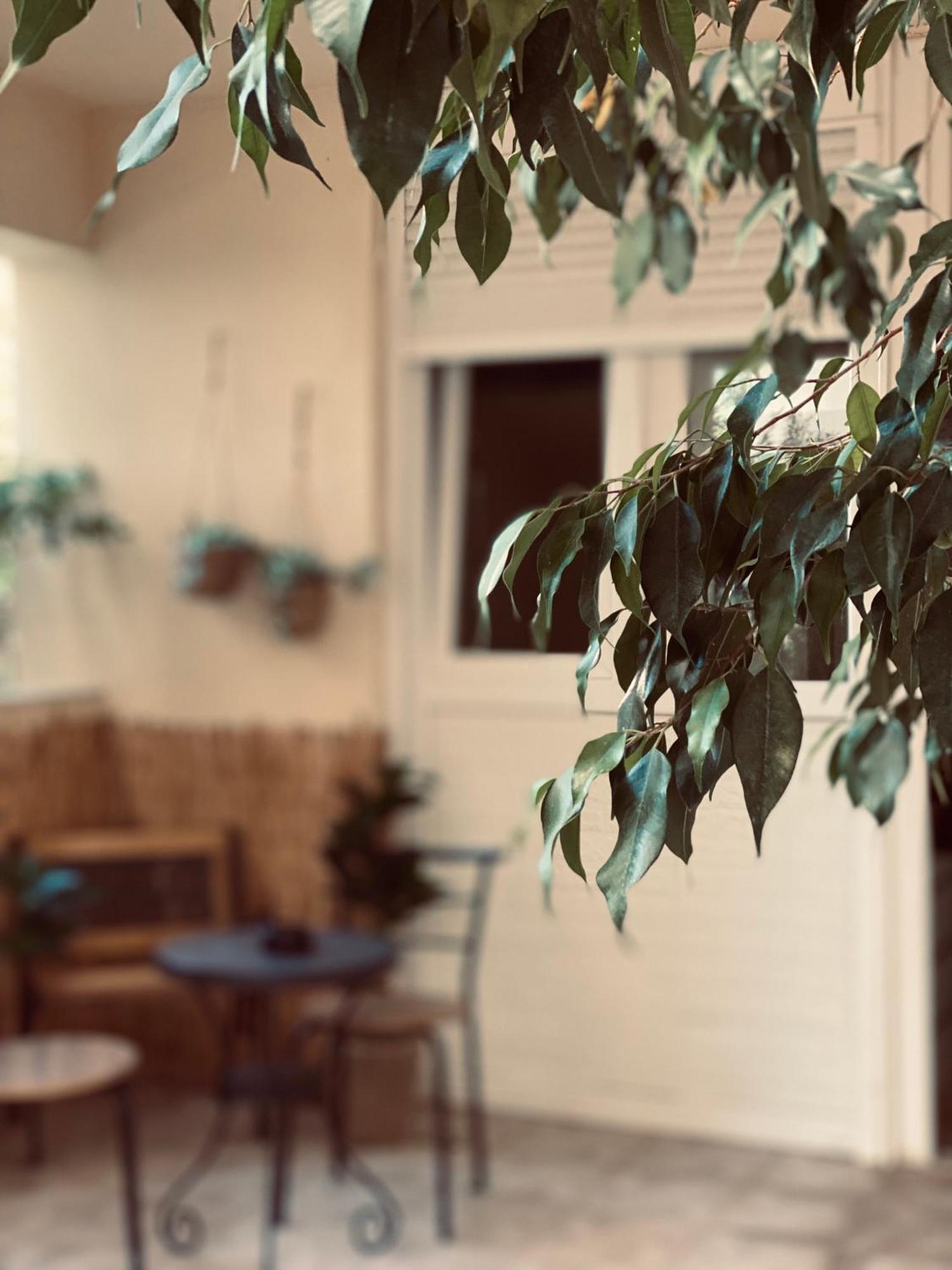 Independent House At Glyfada Apartment เอเธนส์ ภายนอก รูปภาพ